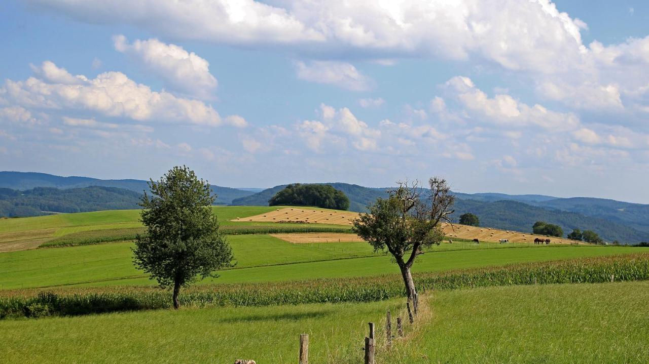 Ferienhof Knoll Lindenfels Zewnętrze zdjęcie